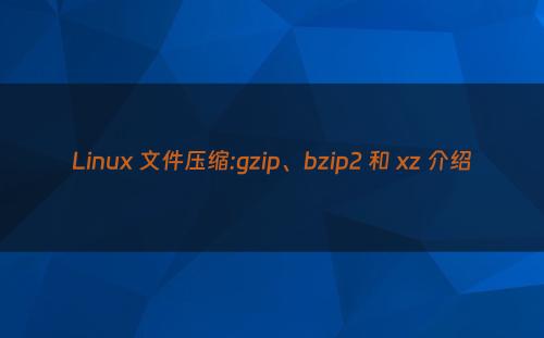 Linux 文件压缩:gzip、bzip2 和 xz 介绍