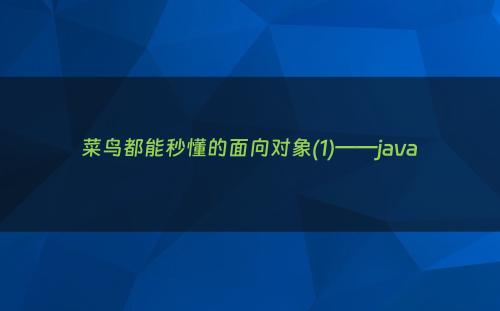 菜鸟都能秒懂的面向对象(1)——java