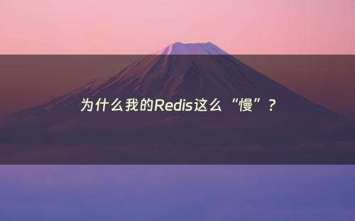 为什么我的Redis这么“慢”?