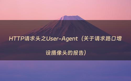HTTP请求头之User-Agent（关于请求路口增设摄像头的报告）