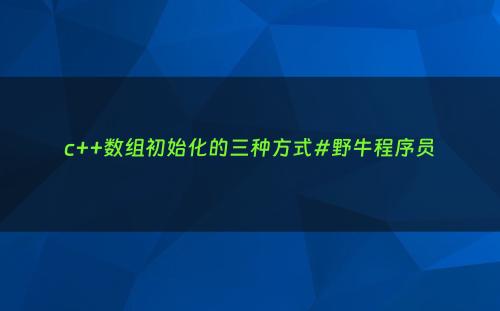 c++数组初始化的三种方式#野牛程序员