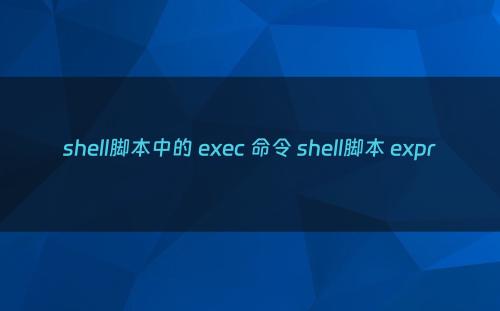 shell脚本中的 exec 命令 shell脚本 expr