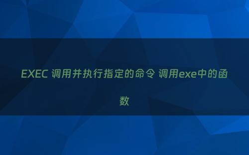 EXEC 调用并执行指定的命令 调用exe中的函数