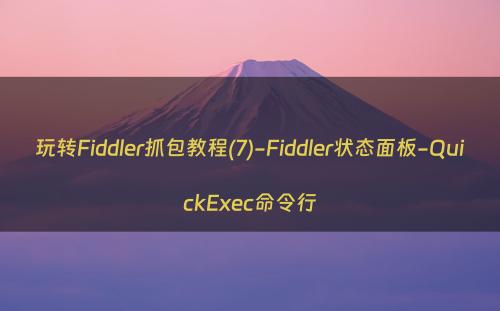玩转Fiddler抓包教程(7)-Fiddler状态面板-QuickExec命令行