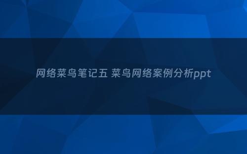 网络菜鸟笔记五 菜鸟网络案例分析ppt