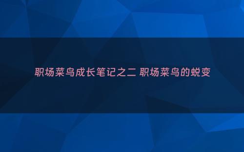 职场菜鸟成长笔记之二 职场菜鸟的蜕变