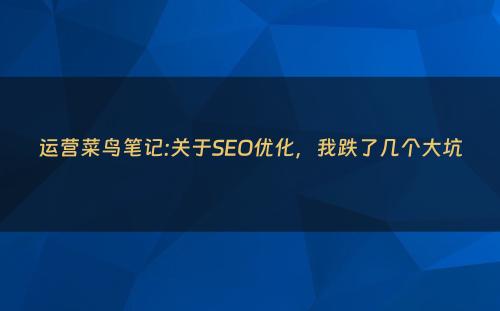 运营菜鸟笔记:关于SEO优化，我跌了几个大坑