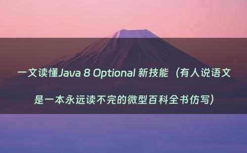 一文读懂Java 8 Optional 新技能（有人说语文是一本永远读不完的微型百科全书仿写）