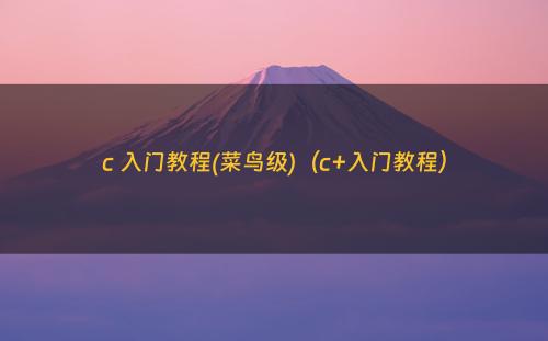 c 入门教程(菜鸟级)（c+入门教程）