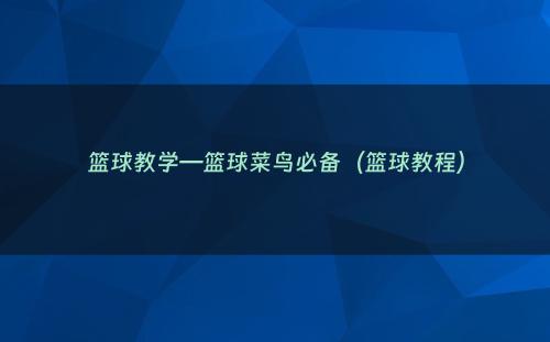 篮球教学—篮球菜鸟必备（篮球教程）