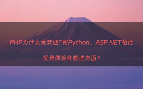 PHP为什么受欢迎?和Python、ASP.NET相比优势体现在哪些方面?