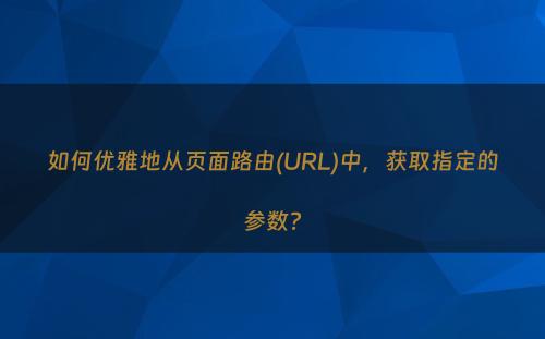 如何优雅地从页面路由(URL)中，获取指定的参数?