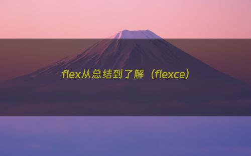 flex从总结到了解（flexce）