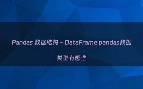 Pandas 数据结构 - DataFrame pandas数据类型有哪些
