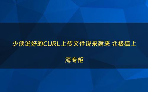 少侠说好的CURL上传文件说来就来 北极狐上海专柜