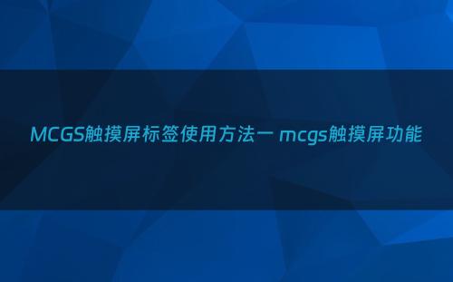 MCGS触摸屏标签使用方法一 mcgs触摸屏功能