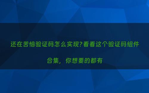还在苦恼验证码怎么实现?看看这个验证码组件合集，你想要的都有