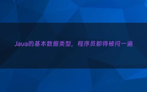 Java的基本数据类型，程序员都得被问一遍