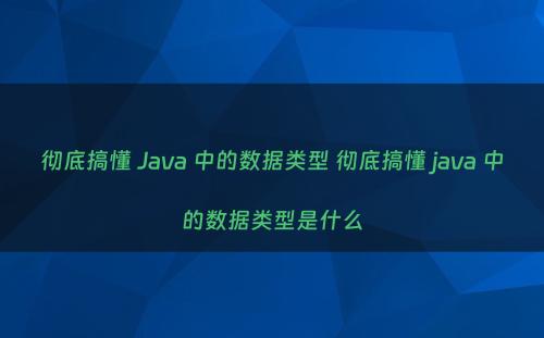 彻底搞懂 Java 中的数据类型 彻底搞懂 java 中的数据类型是什么
