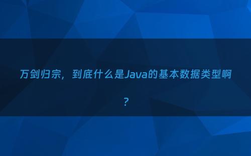 万剑归宗，到底什么是Java的基本数据类型啊?