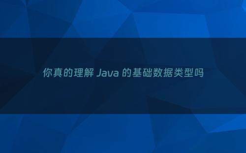 你真的理解 Java 的基础数据类型吗