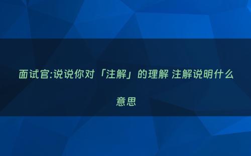 面试官:说说你对「注解」的理解 注解说明什么意思