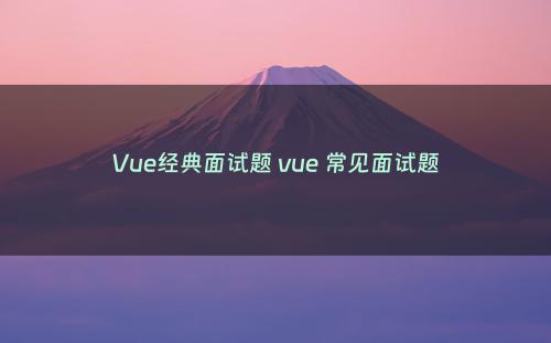 Vue经典面试题 vue 常见面试题