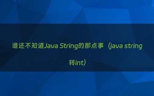 谁还不知道Java String的那点事（java string转int）