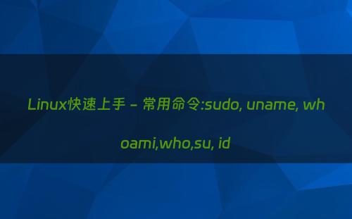 Linux快速上手 - 常用命令:sudo, uname, whoami,who,su, id
