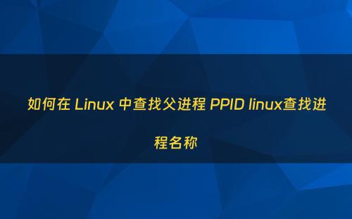 如何在 Linux 中查找父进程 PPID linux查找进程名称