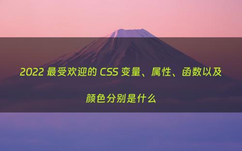 2022 最受欢迎的 CSS 变量、属性、函数以及颜色分别是什么