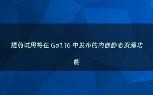 提前试用将在 Go1.16 中发布的内嵌静态资源功能