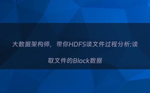 大数据架构师，带你HDFS读文件过程分析:读取文件的Block数据