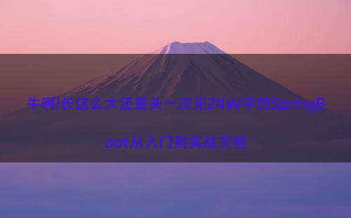 牛啊!长这么大还是头一次见24W字的SpringBoot从入门到实战文档