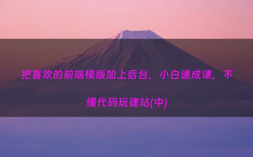 把喜欢的前端模版加上后台，小白速成课，不懂代码玩建站(中)