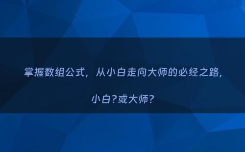 掌握数组公式，从小白走向大师的必经之路，小白?或大师?