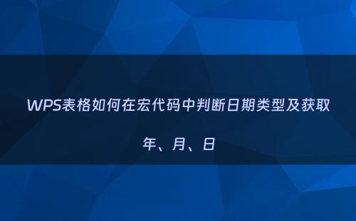 WPS表格如何在宏代码中判断日期类型及获取年、月、日