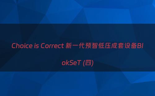 Choice is Correct 新一代预智低压成套设备BlokSeT (四)