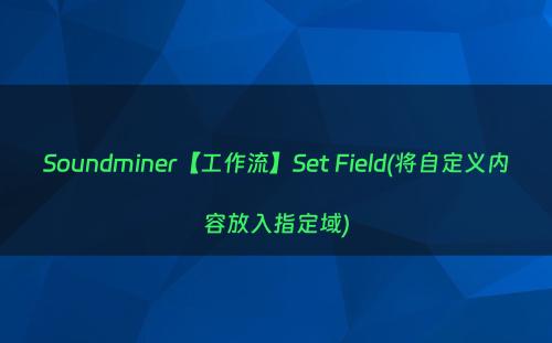 Soundminer【工作流】Set Field(将自定义内容放入指定域)