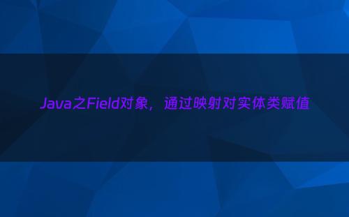 Java之Field对象，通过映射对实体类赋值