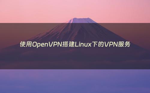 使用OpenVPN搭建Linux下的VPN服务