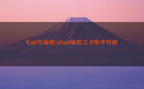 Kali与编程:shell编程之 if条件判断