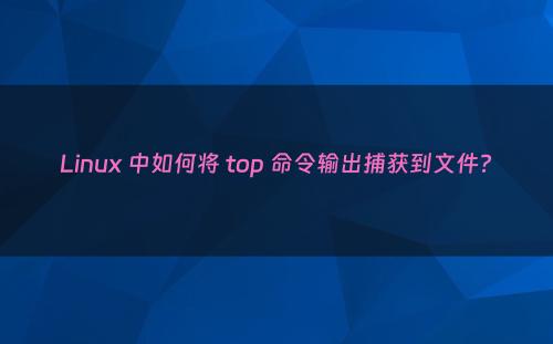 Linux 中如何将 top 命令输出捕获到文件?