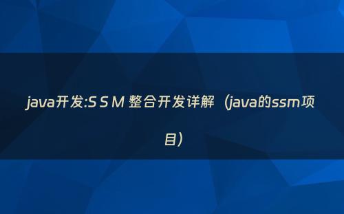 java开发:S S M 整合开发详解（java的ssm项目）