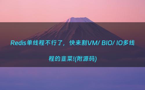 Redis单线程不行了，快来割VM/ BIO/ IO多线程的韭菜!(附源码)