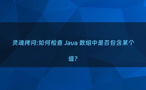 灵魂拷问:如何检查 Java 数组中是否包含某个值?