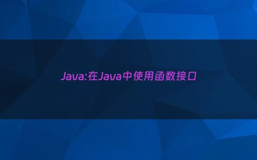 Java:在Java中使用函数接口