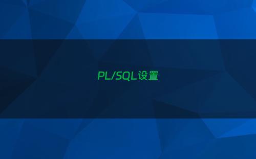 PL/SQL设置