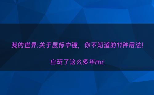 我的世界:关于鼠标中键，你不知道的11种用法!白玩了这么多年mc