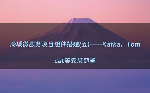 商城微服务项目组件搭建(五)——Kafka、Tomcat等安装部署